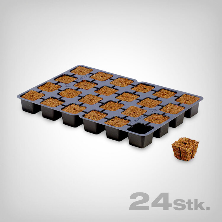 Eazy Plug, Propagation Cubes, 24 pcs. – Growmart