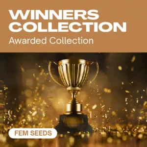 Winners Collection – Blimburn Seeds