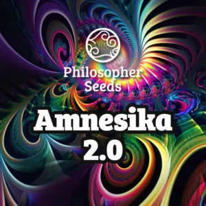 Amnesika 2.0 Feminized – Alchimia Grow Shop