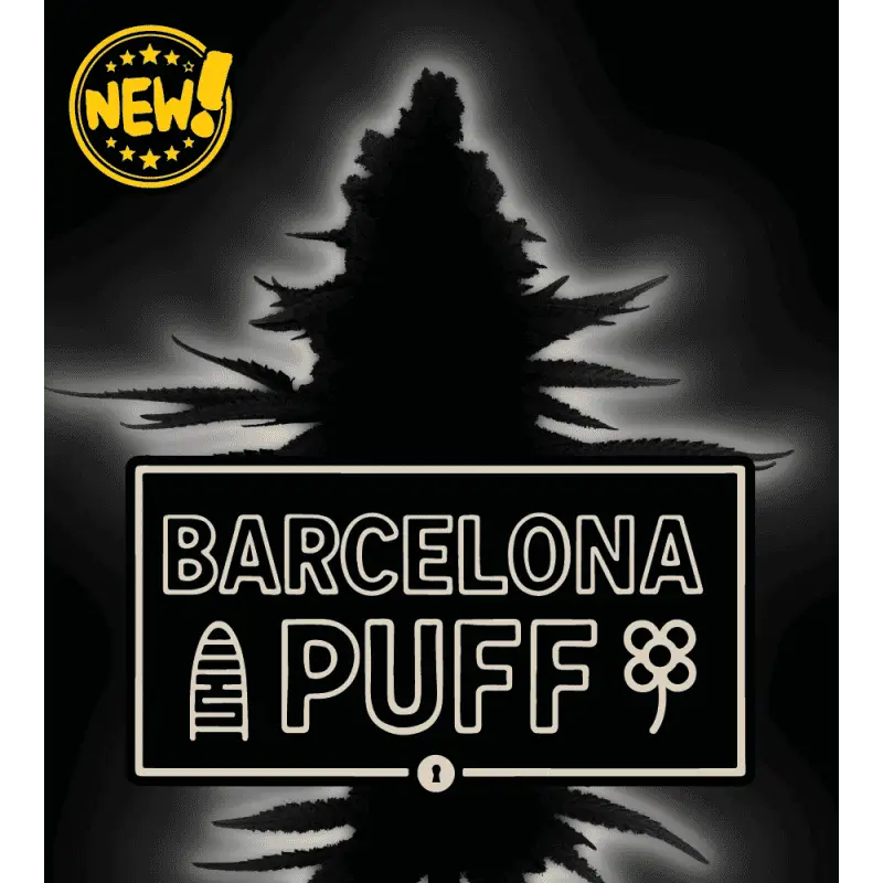 Barcelona Puff Feminized – Alchimia Grow Shop