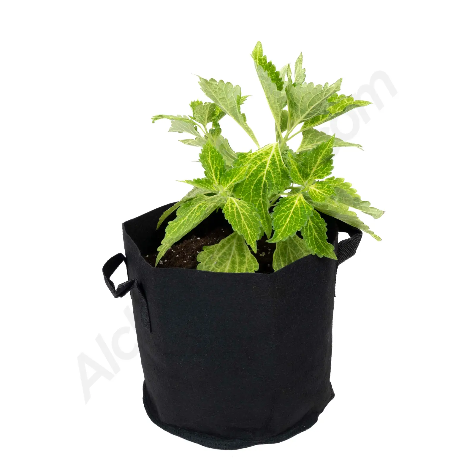 Fabric pot with handles – Alchimia Grow Shop