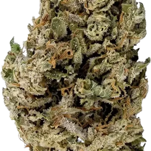Panakeia CBG flower