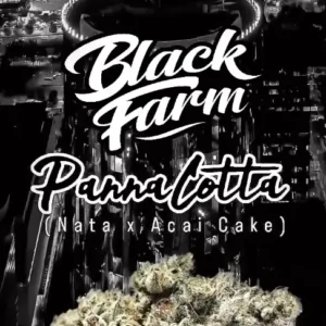Pannacotta Feminized – Alchimia Grow Shop
