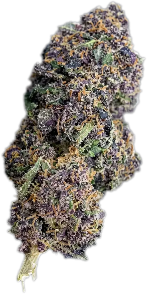 Rainbow Sherbet CBD flower
