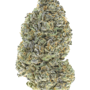 Garlic Mint Sherbet™ – Fast Buds