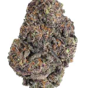Papayton™ – Fast Buds