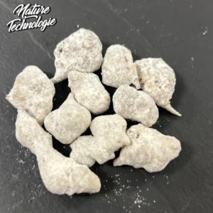 Snow Balls CBD – Alchimia Grow Shop