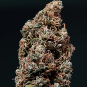 White Dwarf Auto Autoflower – Alchimia Grow Shop